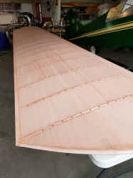 20220526_171324.jpg (3106348 bytes)